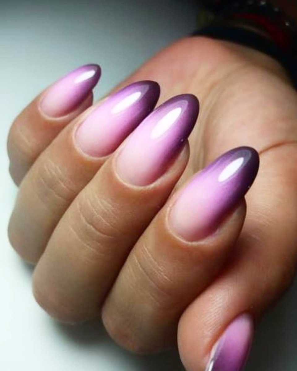 Shellac 2020