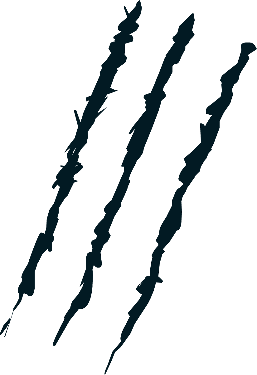 Царапины от когтей