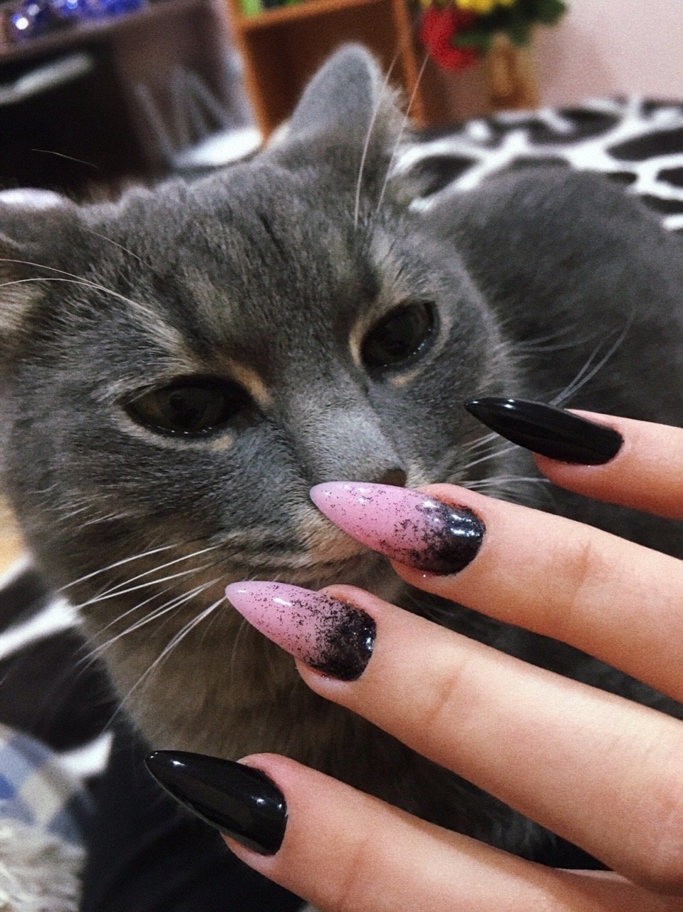 Кошачьи ноготки маникюр