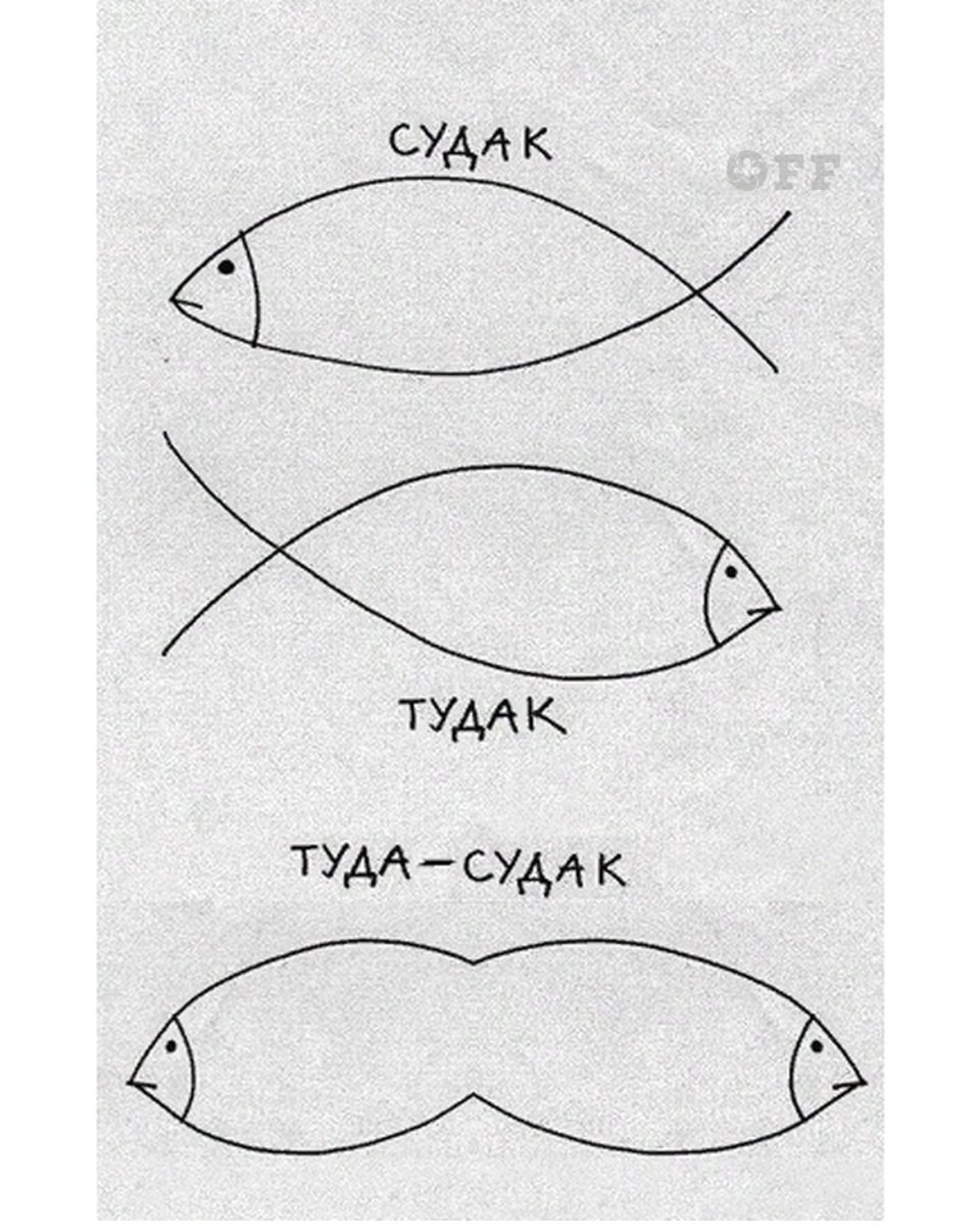 Судак тудак мемы