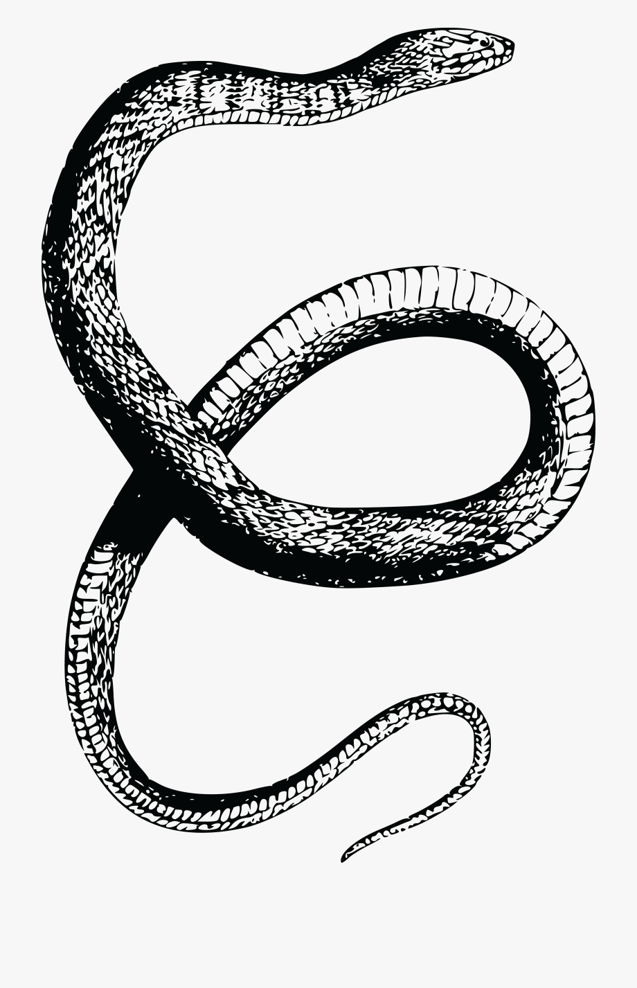 Тату змея на руке маленькая