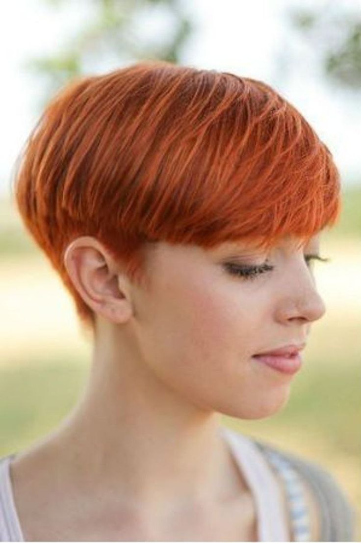 Пикси Гаврош рыжие