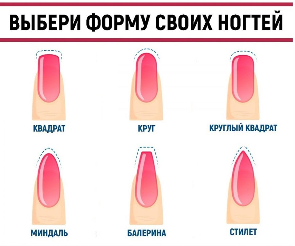Форма ногтей разновидности