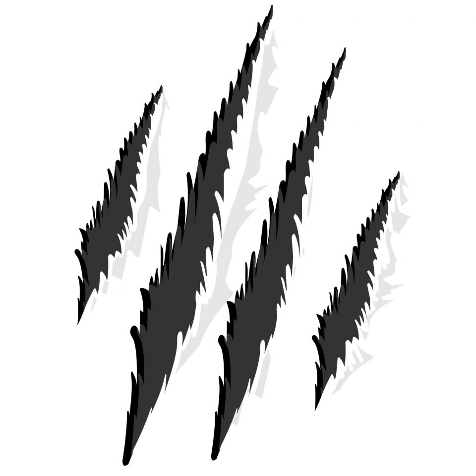 Следы когтей