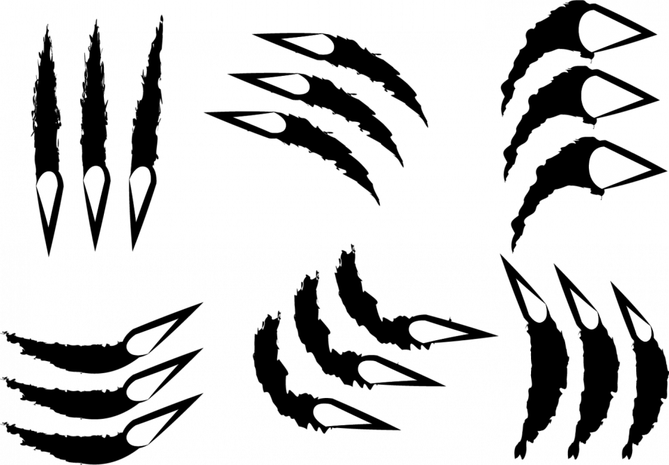 Следы от когтей