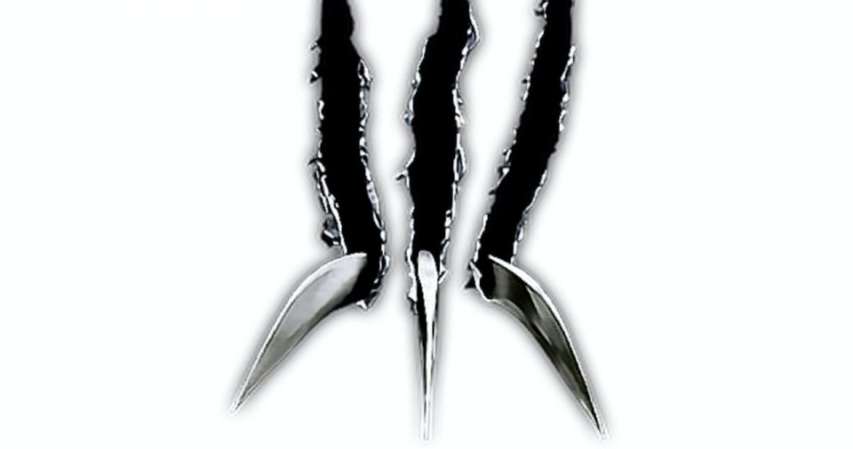 Следы от когтей Росомахи