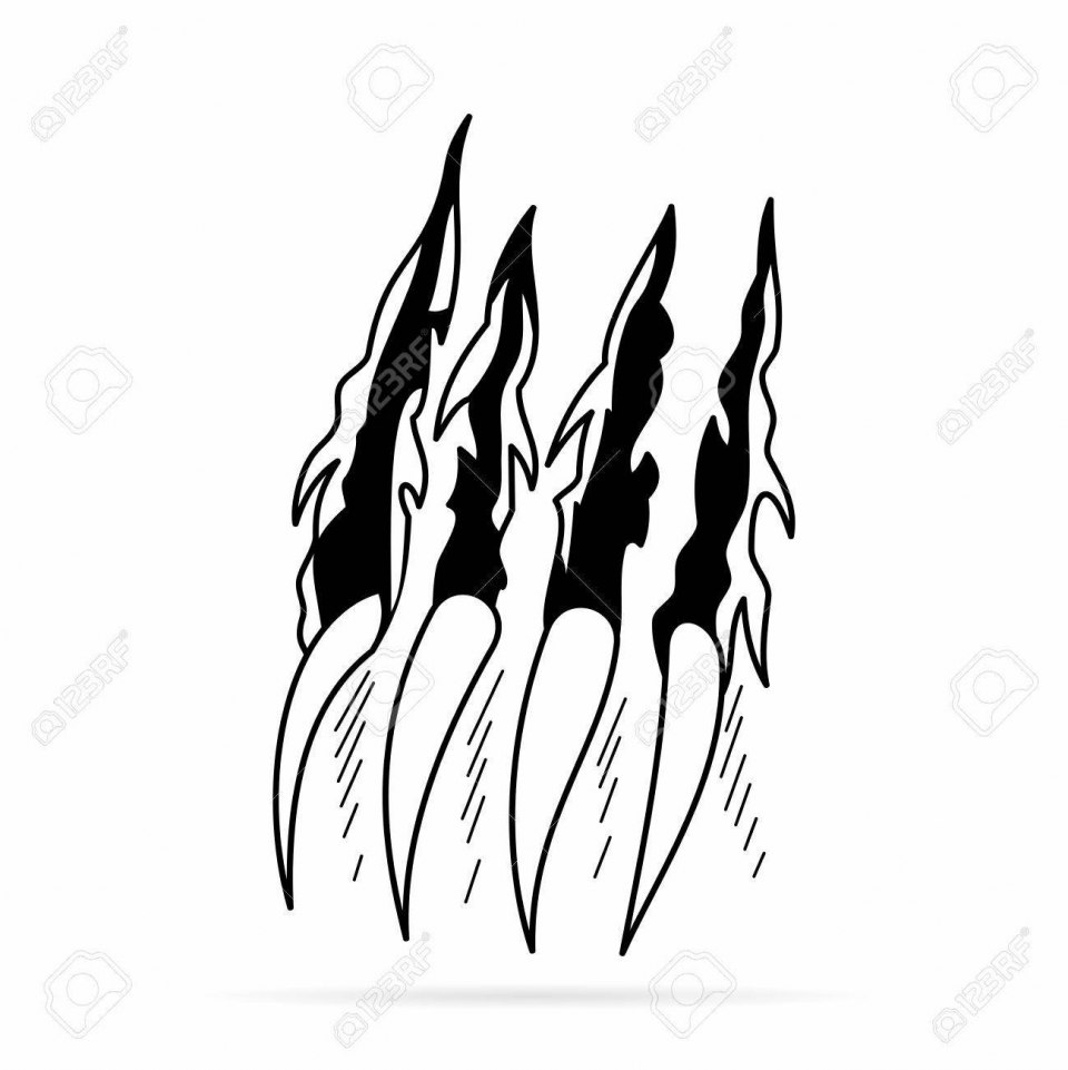 Следы когтей медведя