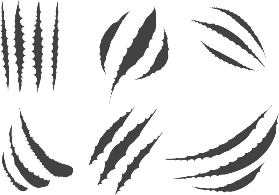 Когти силуэт