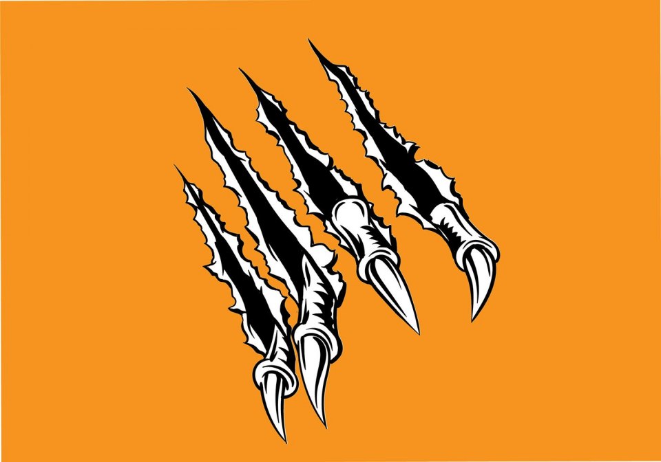 Когти логотип