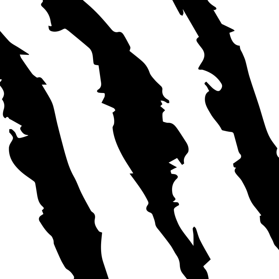 Следы когтей