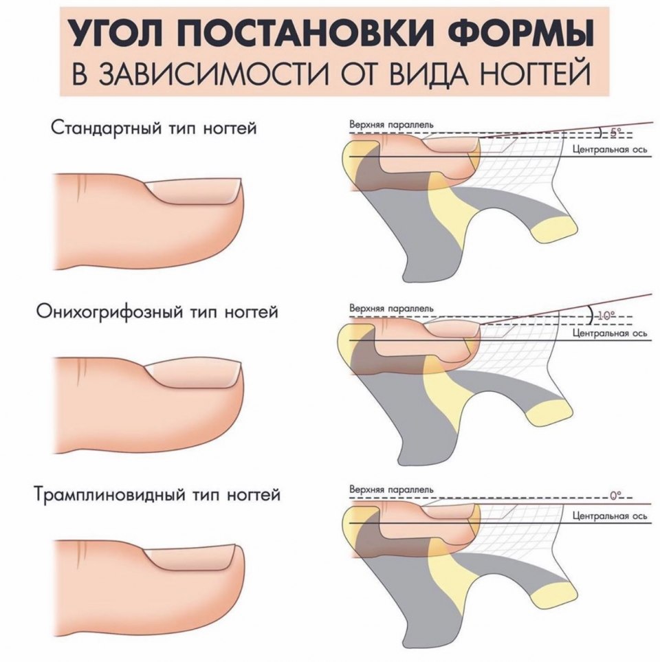 Постановка формы для наращивания ногтей