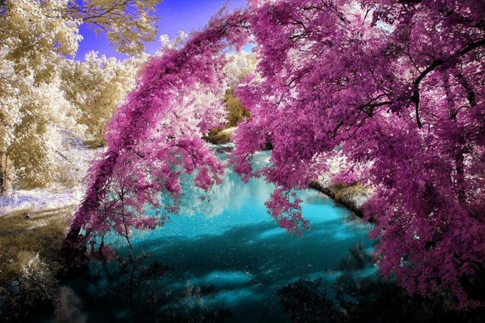 Необычно красивая природа