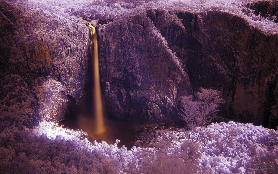 Удивительная природа