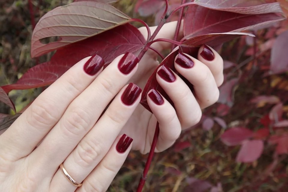 Маникюр Багровый с белым