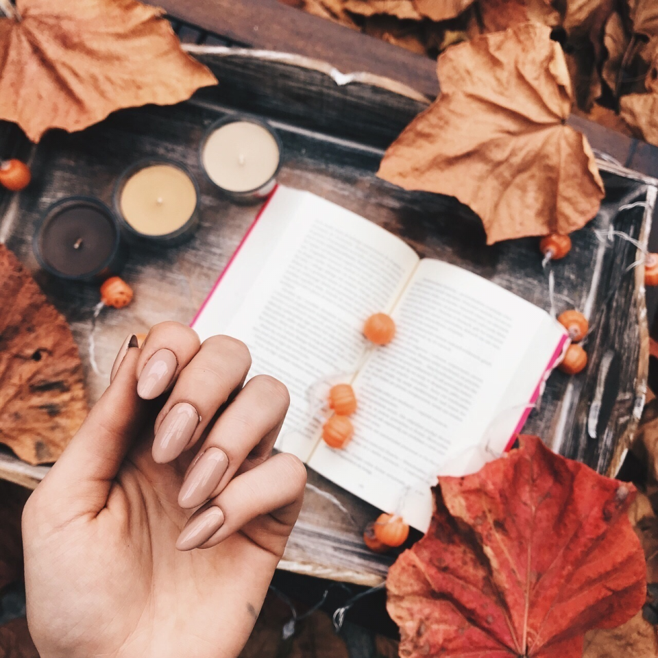 Книга осень в сердце