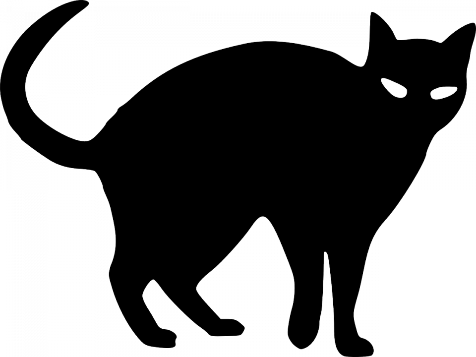 Кот Корат черный