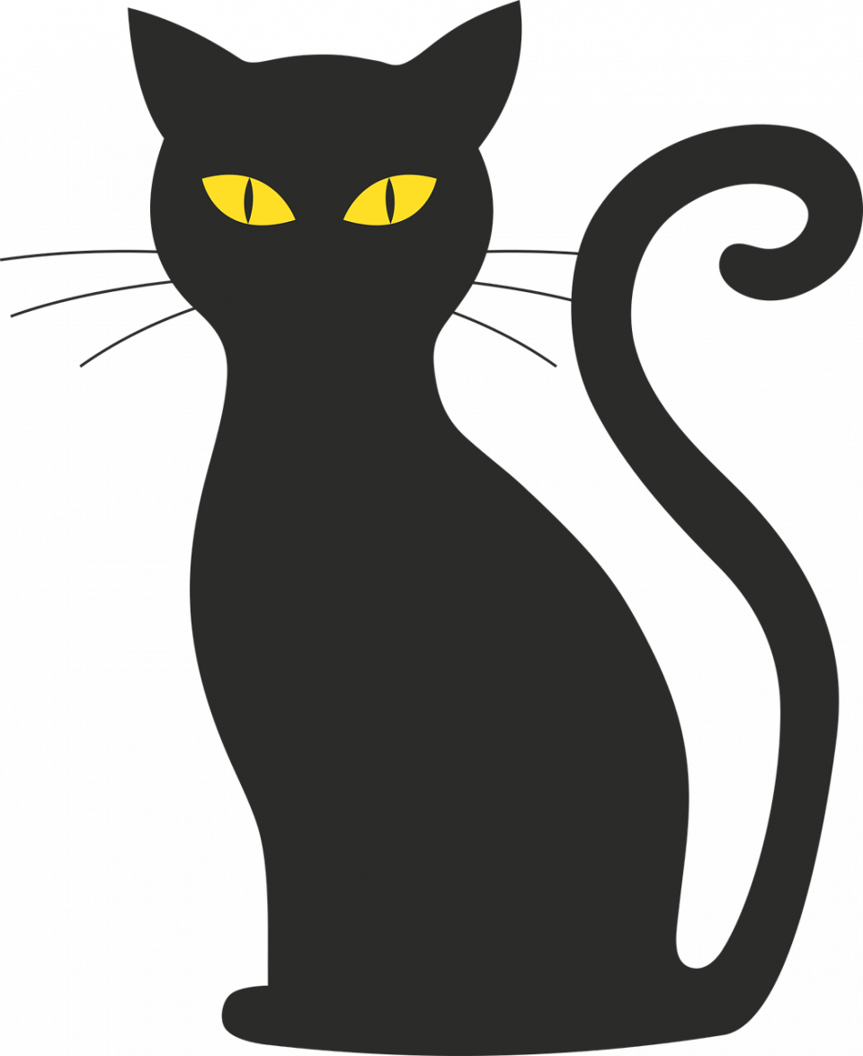 Черная кошка силуэт
