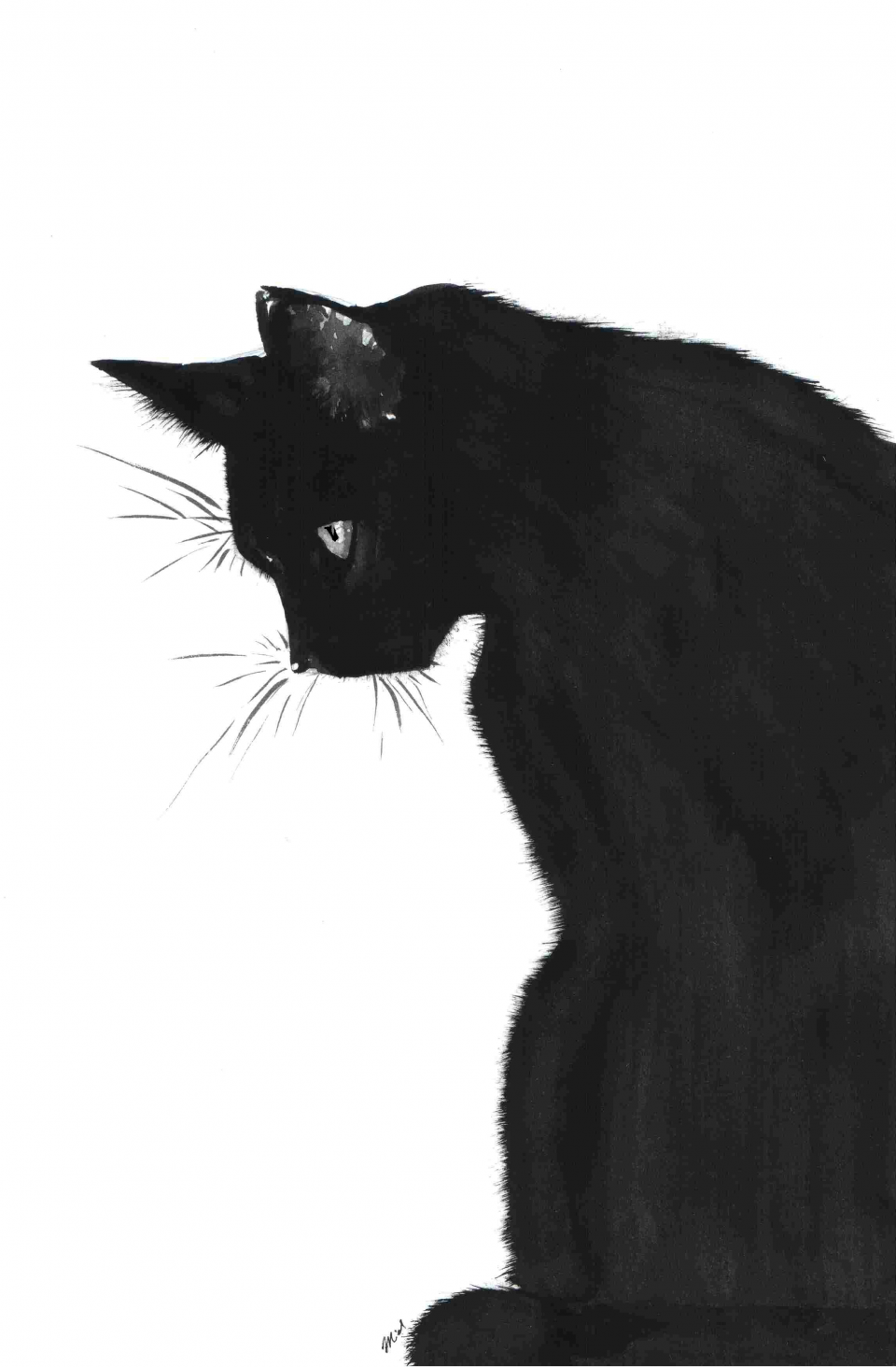 Нарисованный черный кот