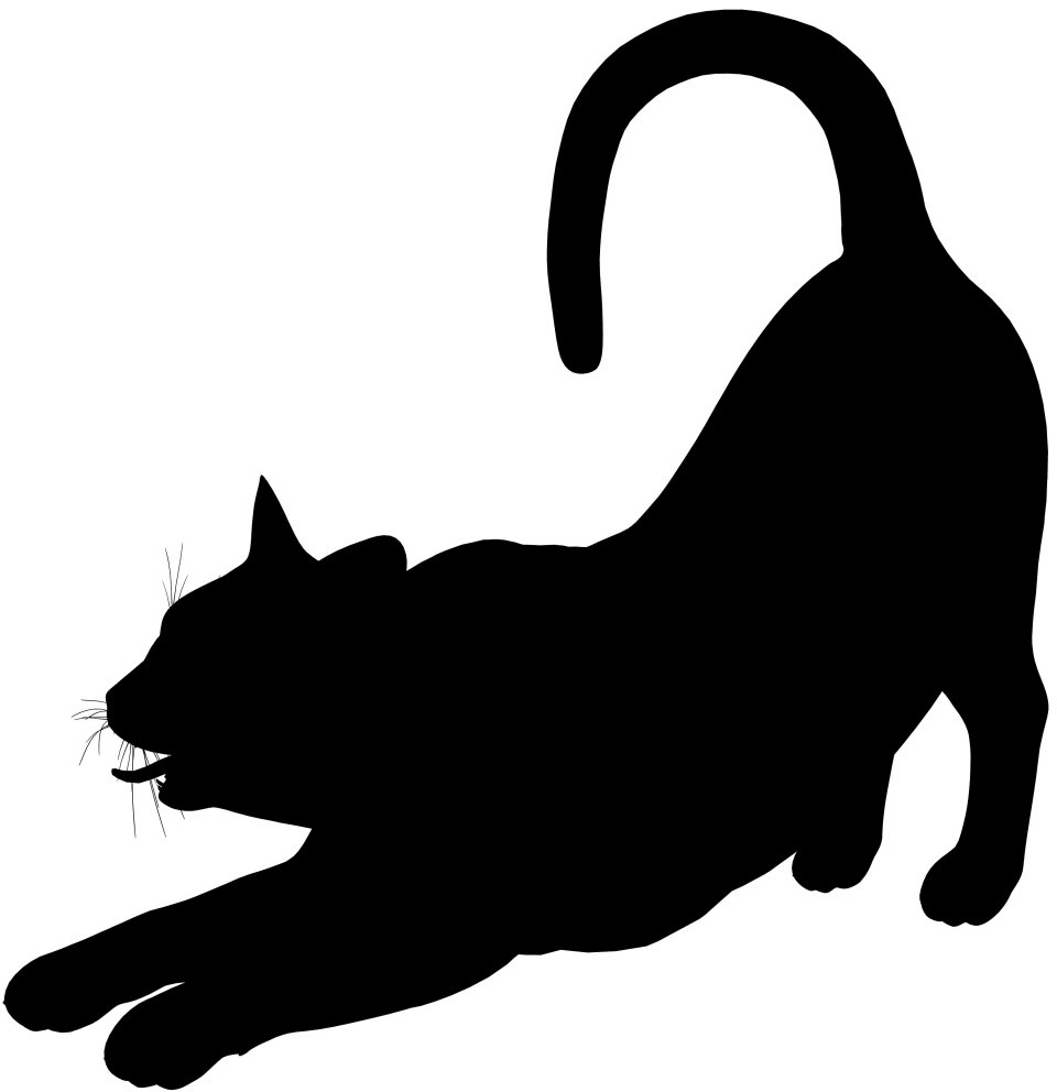 Очертание кошки