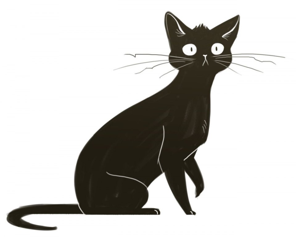 Кошка рисунок