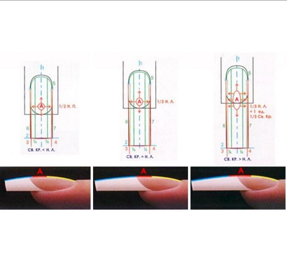 Схема длины ногтей при маникюре
