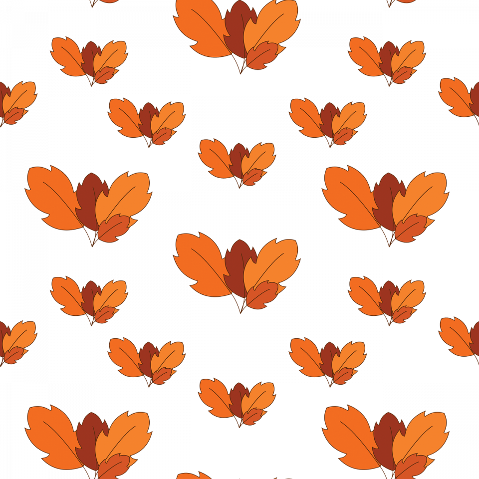 Doodle autumn leaves PNG