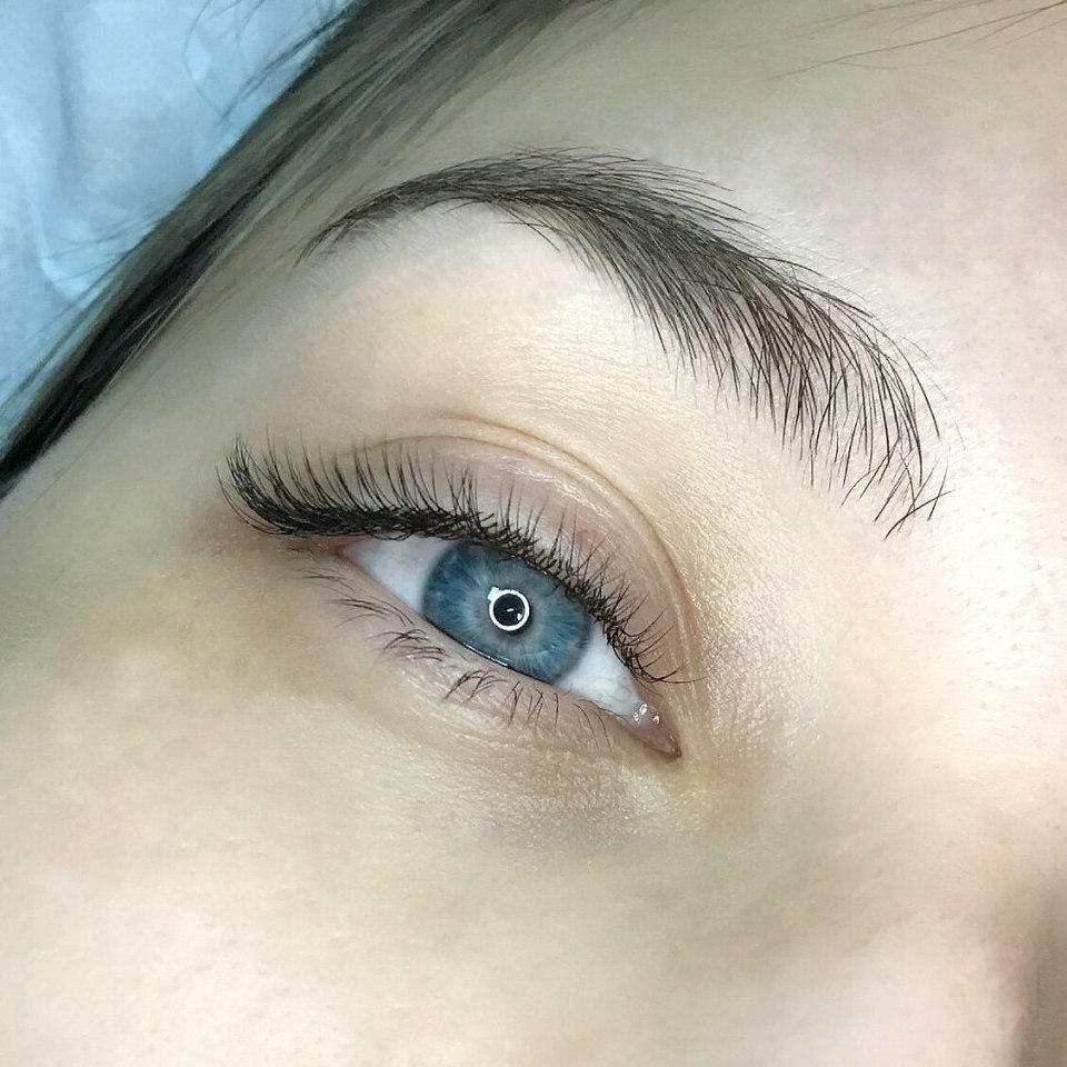 Ресницы обычные