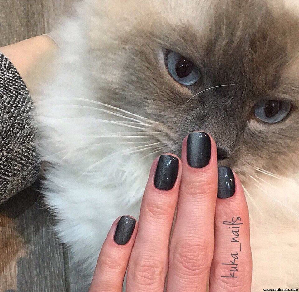 Серый маникюр с кошечками