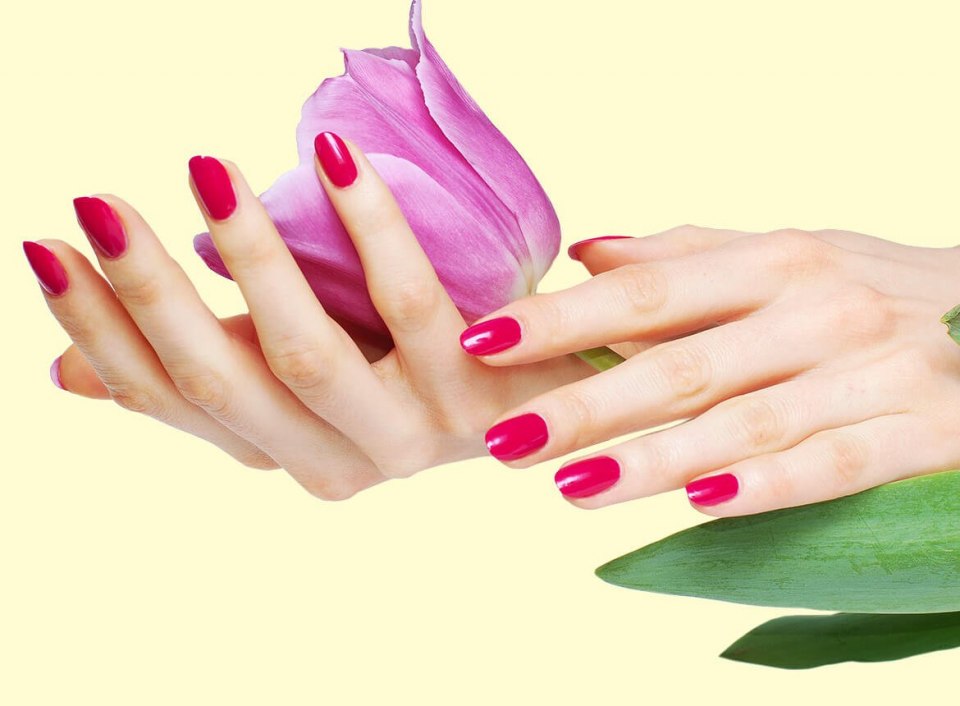 Руки с маникюром на прозрачном фоне
