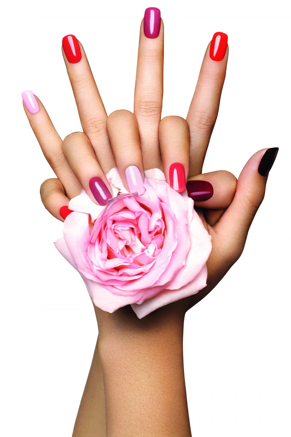 Маникюр на белом фоне