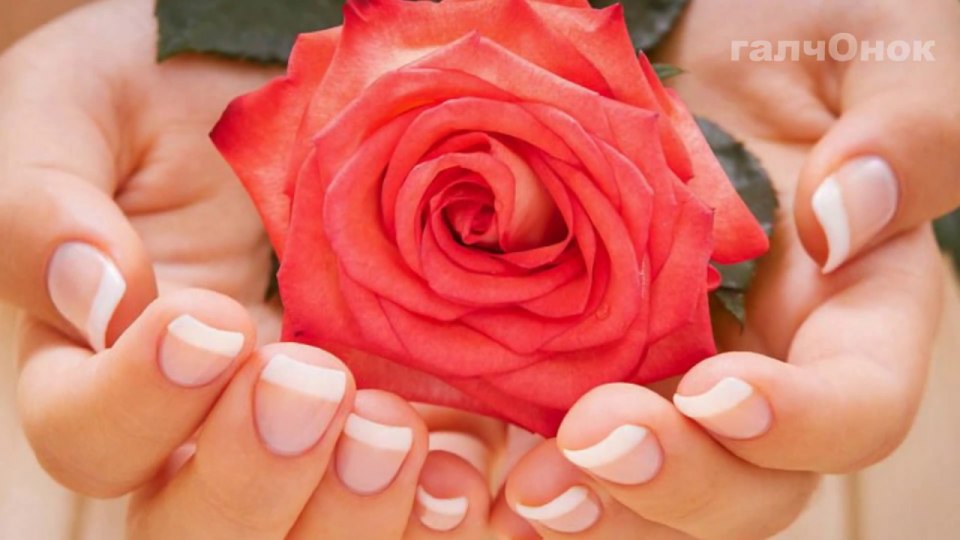 Руки маникюр роза
