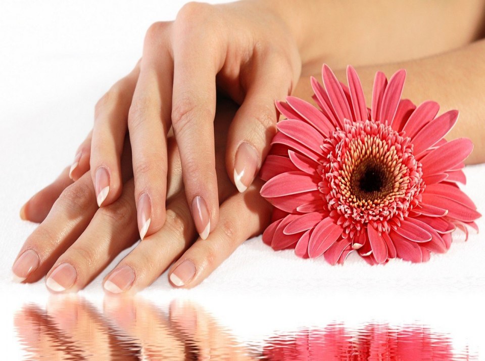Руки с маникюром