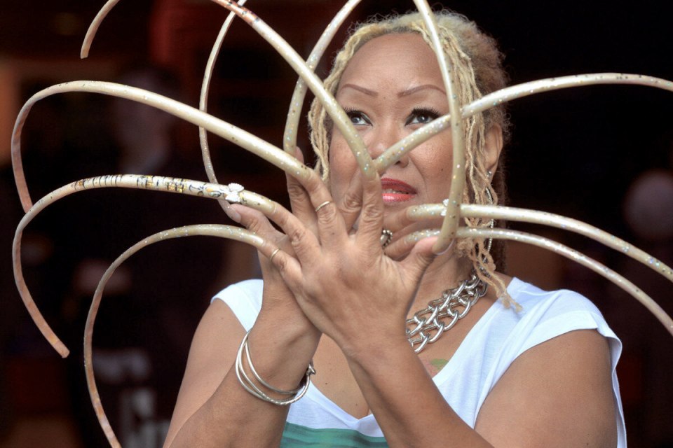 Рекорд Гиннесса самые длинные ногти