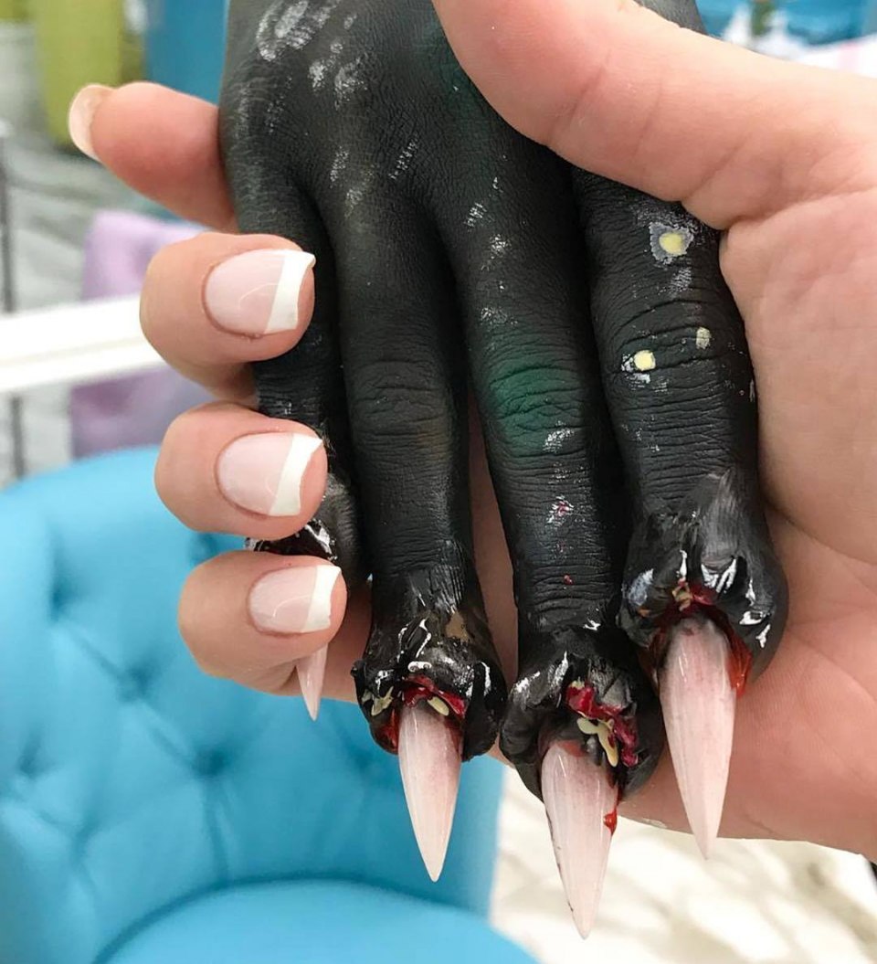 Самые длинные ногти