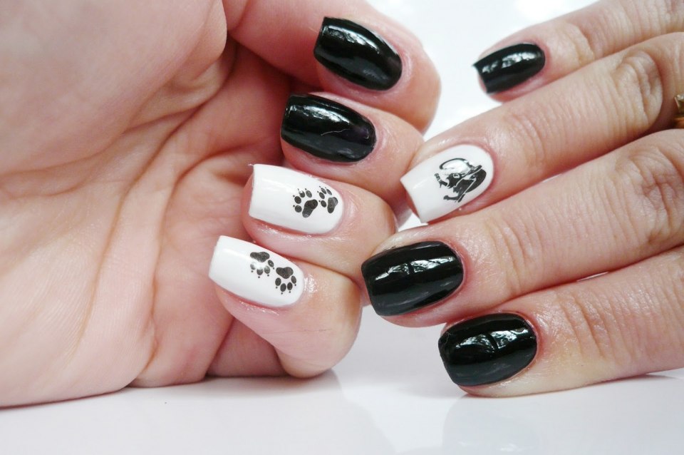 Черная кошка на ногтях