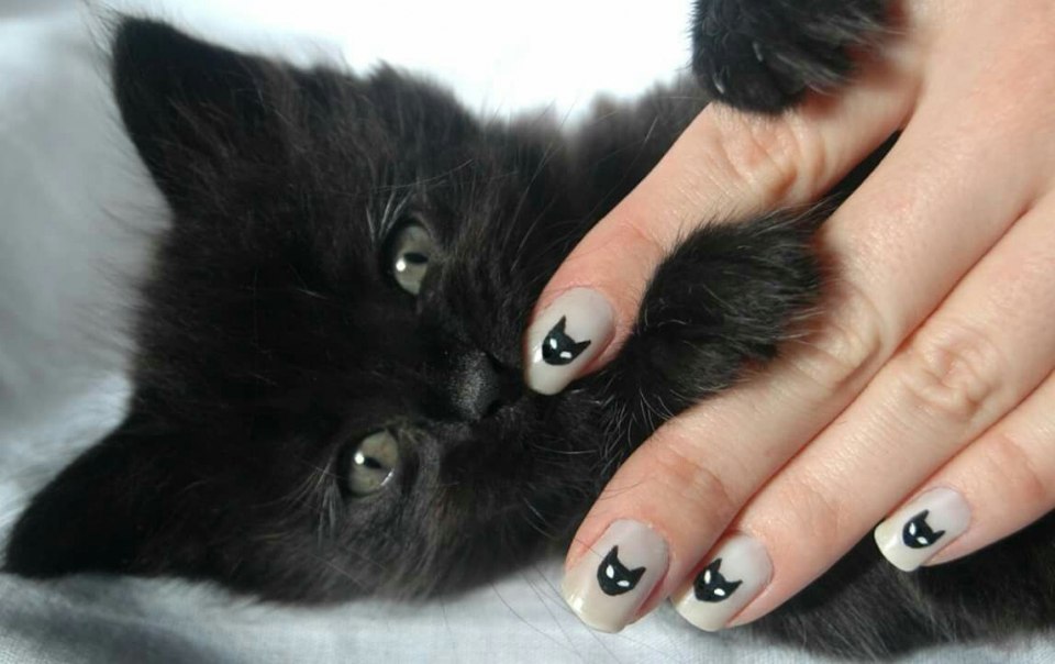 Маникюр с черным котом