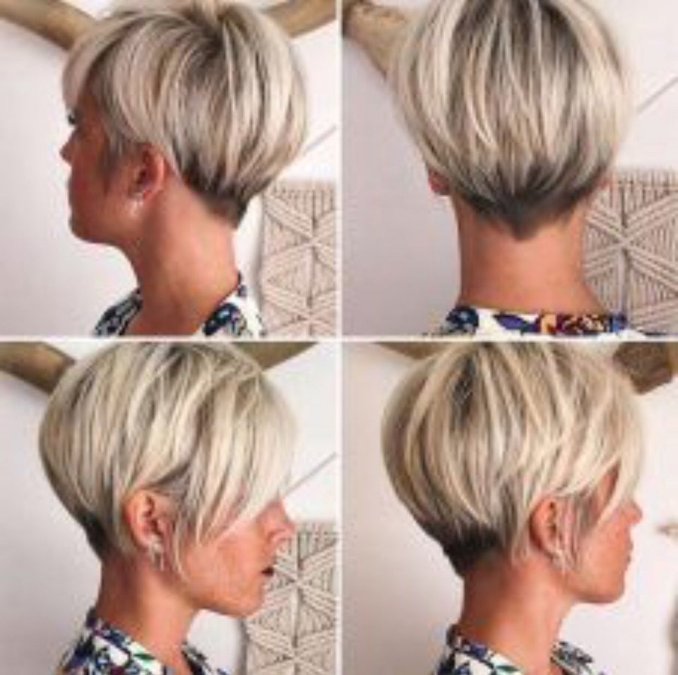 Пикси Боб стрижка