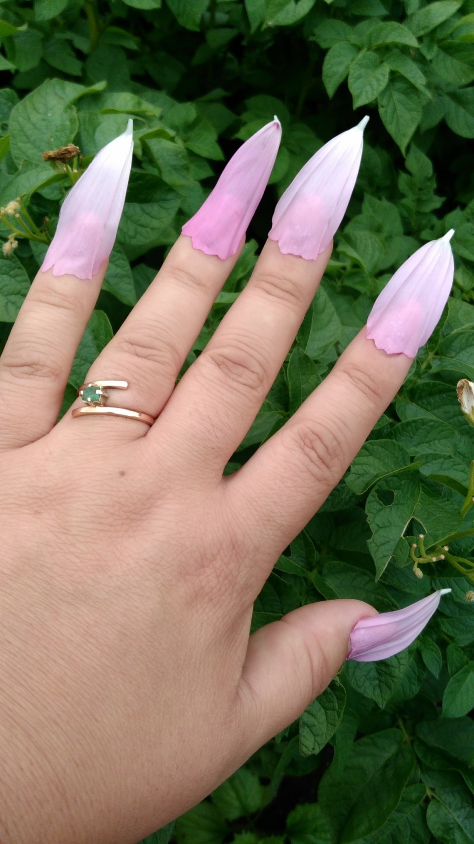 Красивые постановки рук маникюр