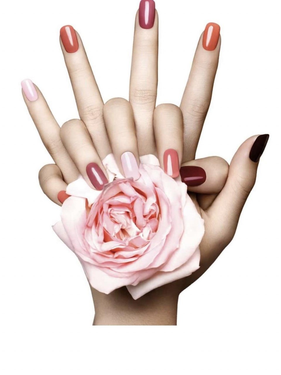 Маникюр на белом фоне