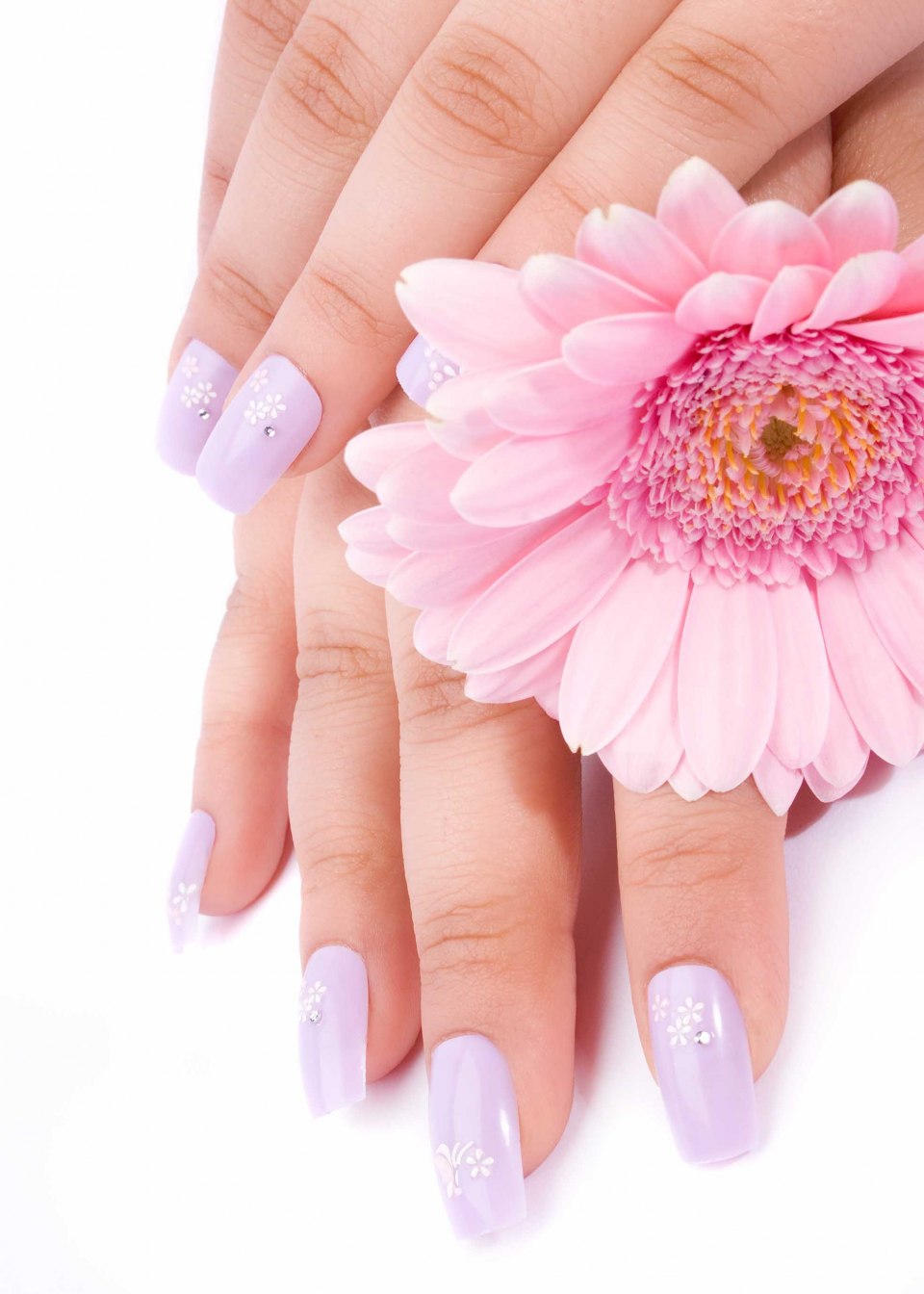 Красивый маникюр на белом фоне