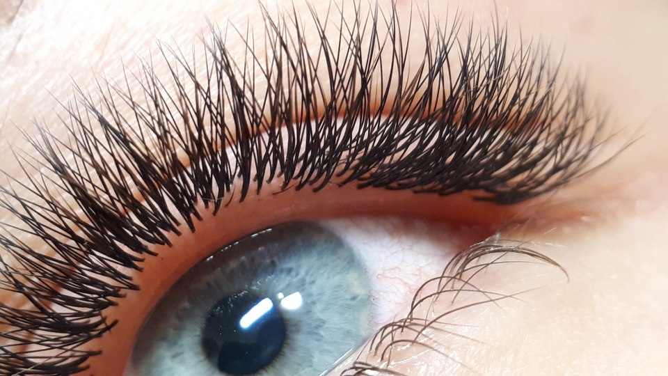 Ресницы 6д фото