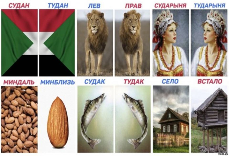 Сударыня тударыня похожие мемы