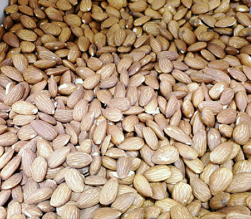 Смешные комиксы генетика