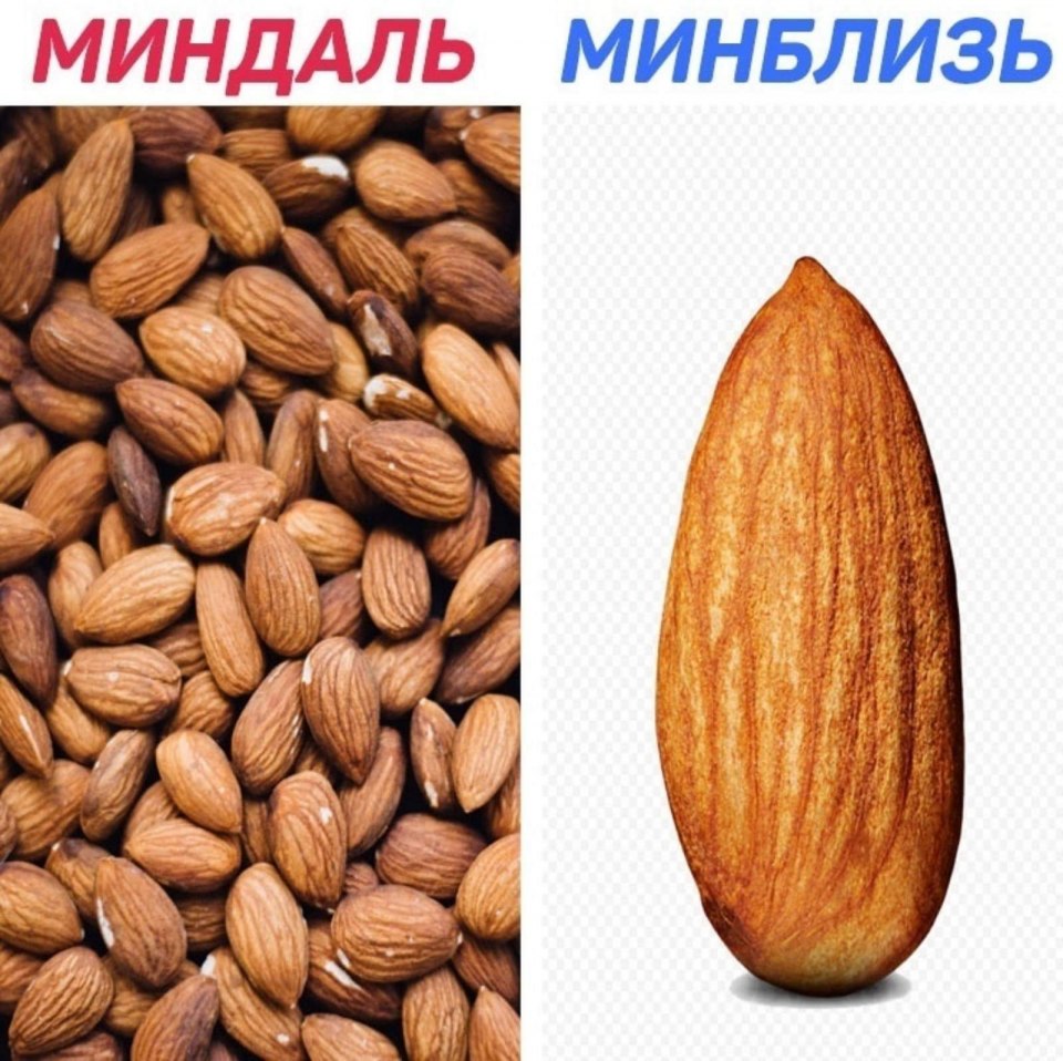 Мемы миндаль минблизь
