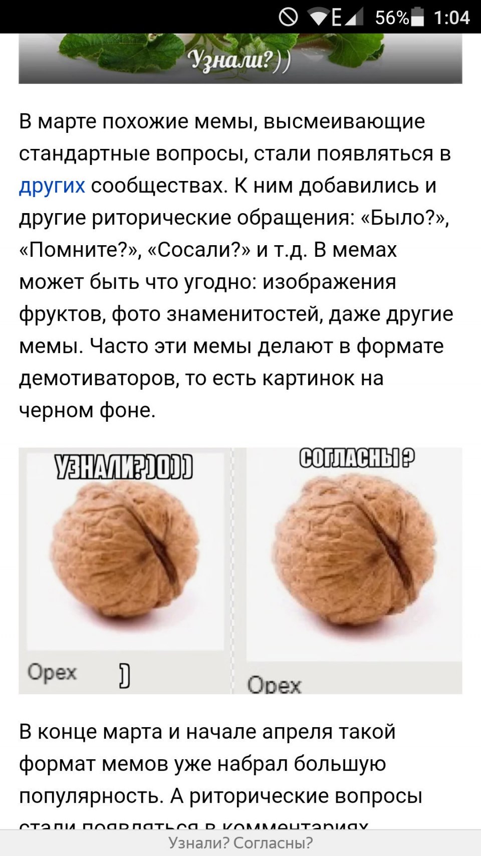 Миндаль Амаретто дерево