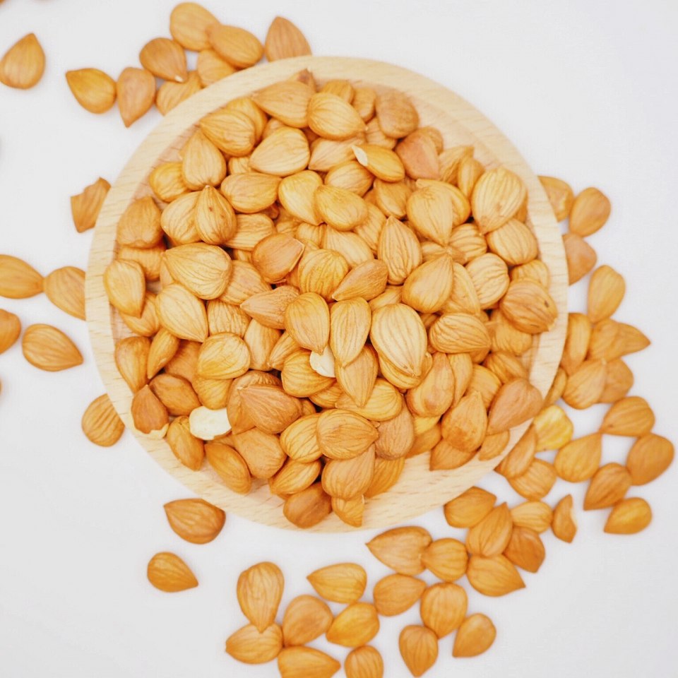 Миндаль Чили