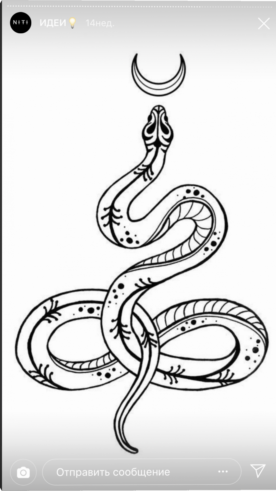 Тату змея цветная на руке