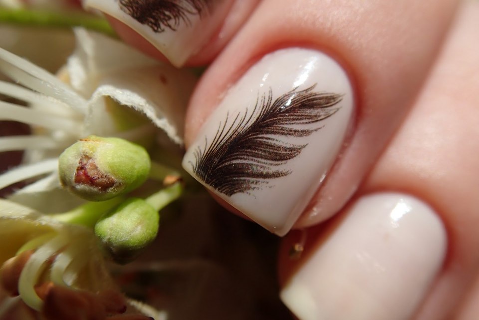 Маникюр с перышком
