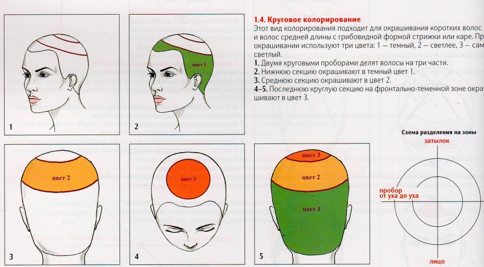 Блочное окрашивание волос схемы