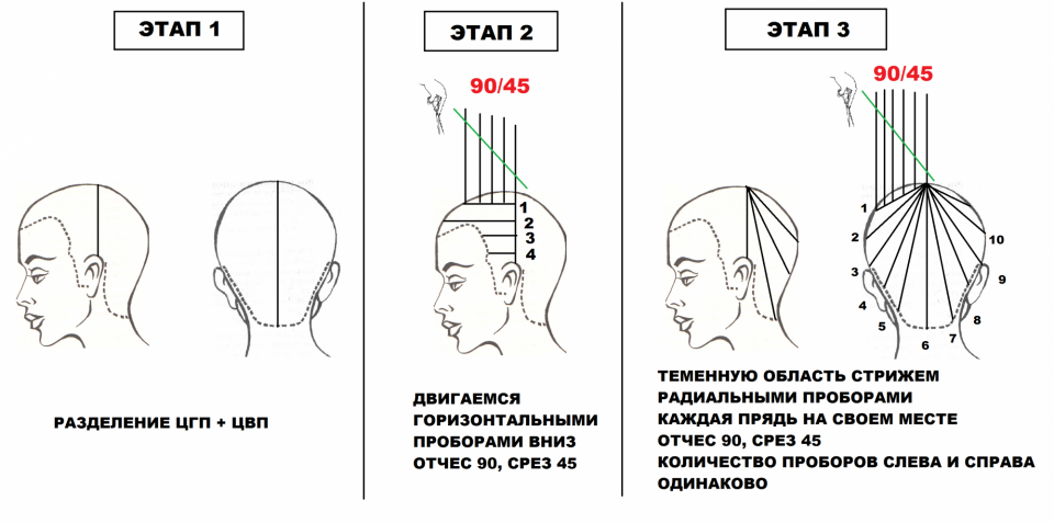 Каскад схема стрижки теменной зоны